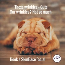 Relax & Melt Limited - Ingleby Barwick | Skinbase Microdermabrasion